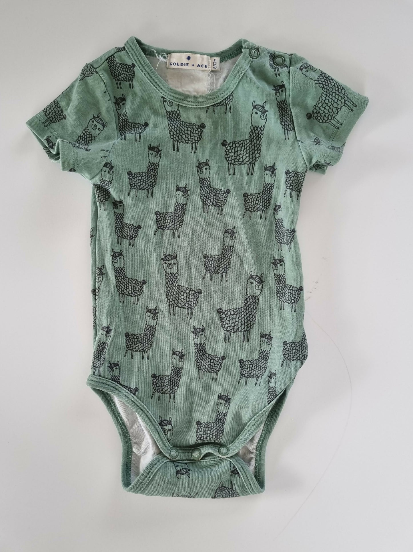 Goldie + Ace llama bodysuit, 6-12m