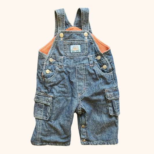 Vintage Pumpkin Patch Overalls